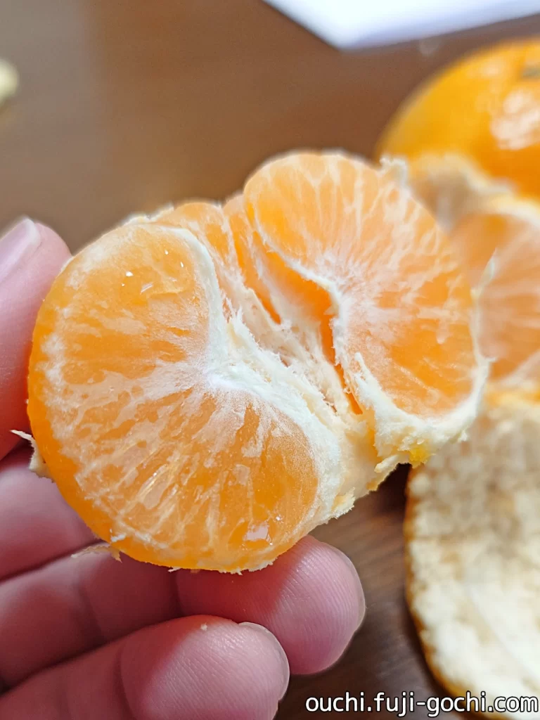 みかん☆さま確認ページ♡ 奥手みかん5kg | マルデン伊藤農園